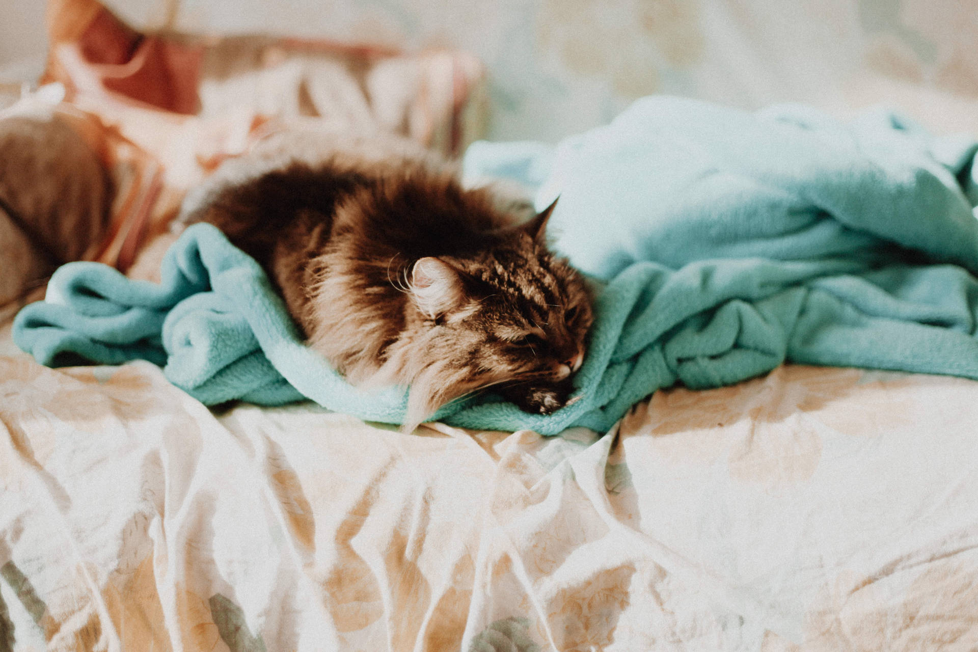 redd-f-3mWxKnqET3E-unsplash