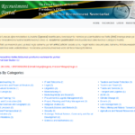 Ajira Portal, Registration, Log in and How to Apply Jobs Correctly (5 Minute Master Guide for Beginners) 3 What is Ajira Portal