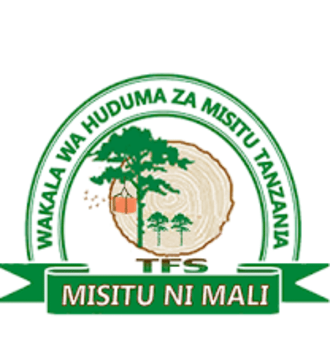 Nurse officers