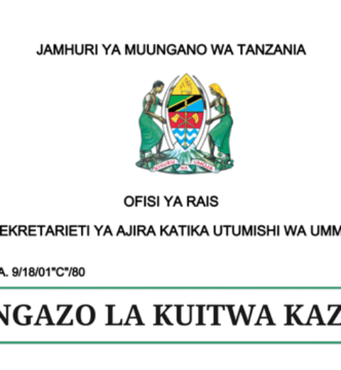 CONSULTANT PARAMEDIC