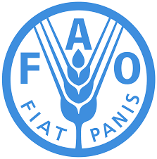 Read more about the article FAO Tanzania Jobs: 2 Roles Open for July 2025