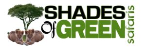 Read more about the article Human Resource Manager at Shades of Green Safaris August 2025
