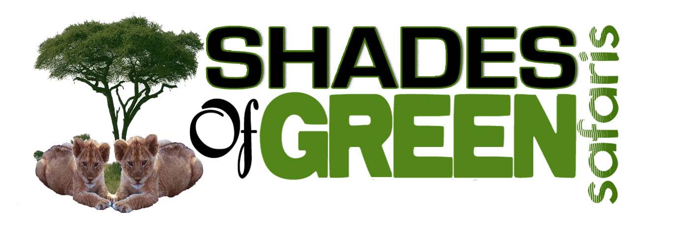 Read more about the article Human Resource Manager at Shades of Green Safaris August 2025