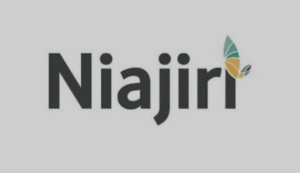 Read more about the article Gender Based Violence Officer – Zanzibar at Niajiri Platform LTD September 2025