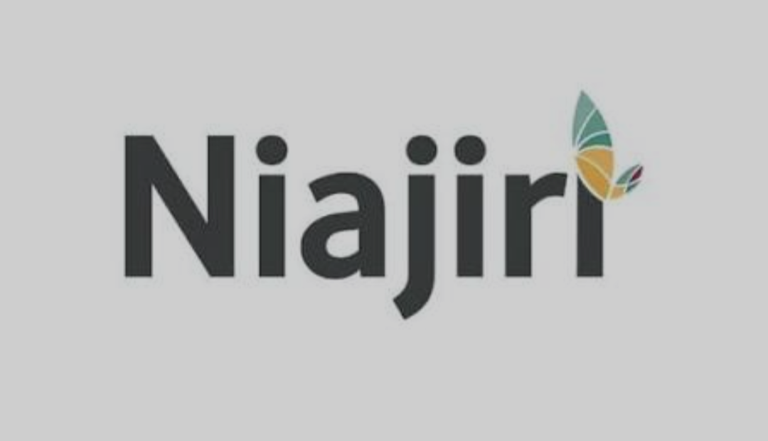 Read more about the article Nurse Manager at Niajiri Platform LTD September 2025