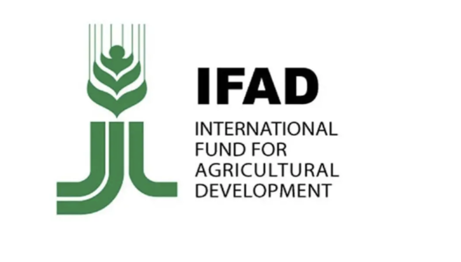 Read more about the article Nutrition Specialist at IFAD September 2025
