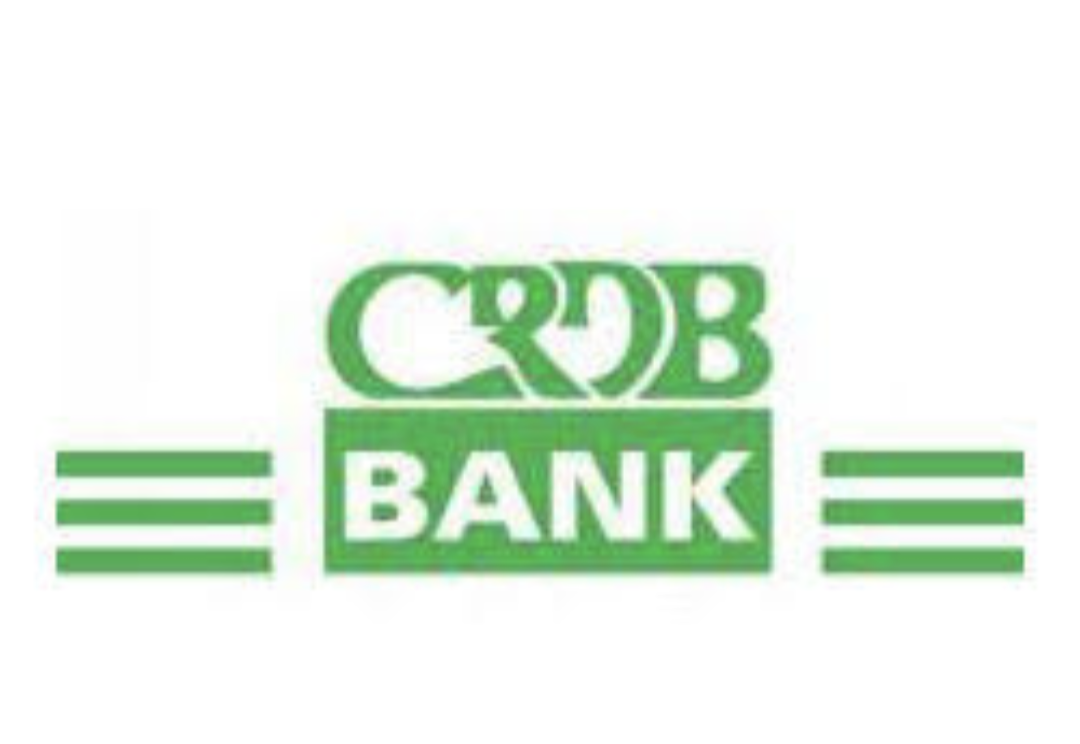 36 Jobs for Graduates, at CRDB Bank Graduate Development Program 2025 4 Screenshot 20251018 155226