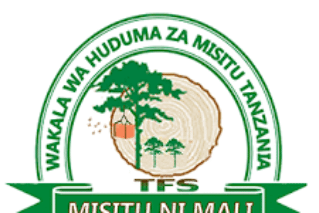 142 Job Openings at Tanzania Forestry Services (TFS)