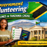 Muongozo wa Kujitolea Serikalini