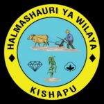 Kishapu DC